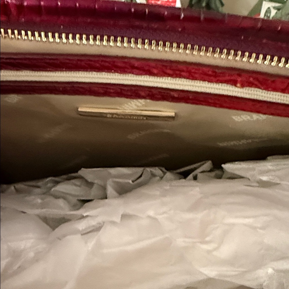 Brahmin Medium Asher Ruby Ombre Leather Tote NWT … - image 9